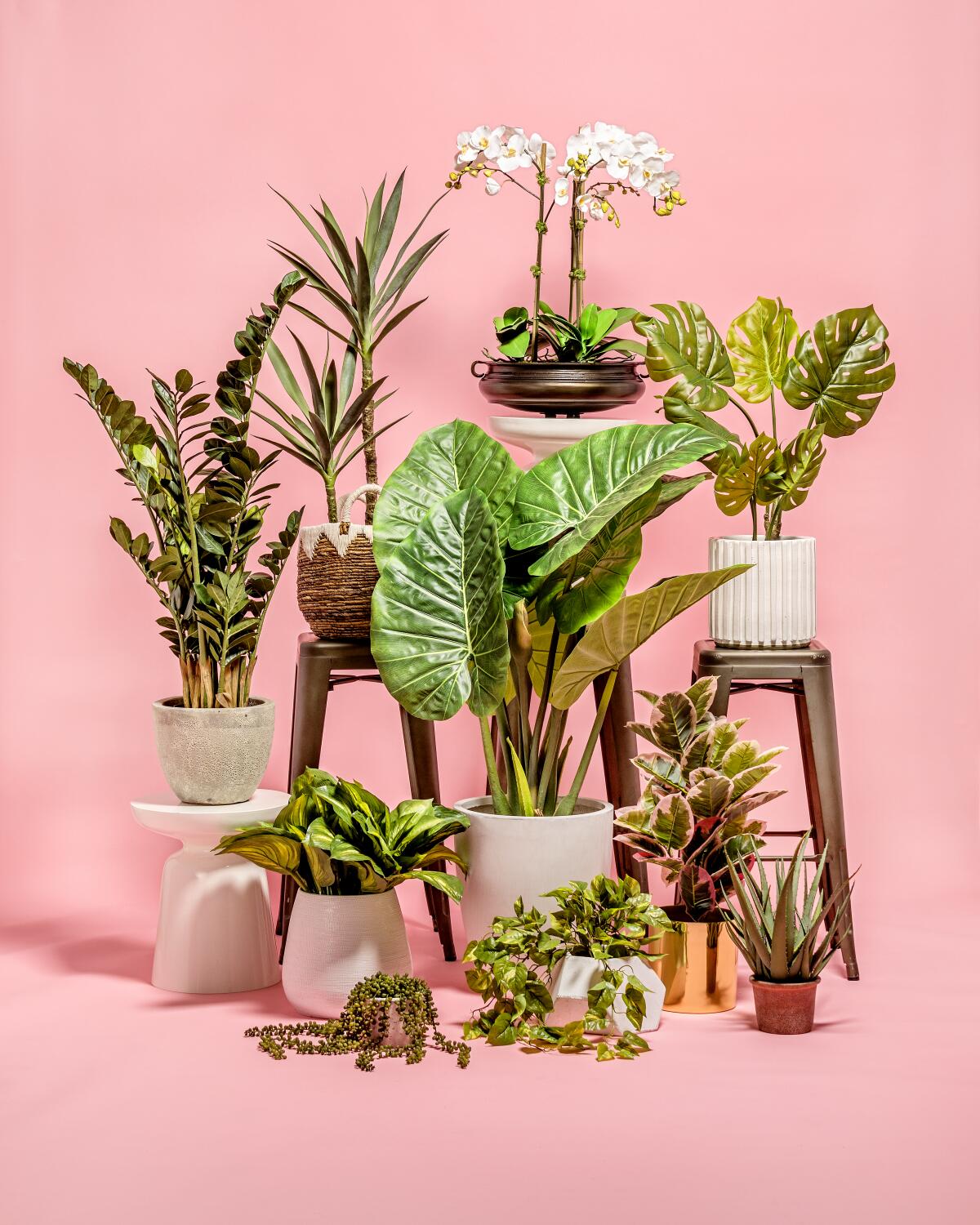 Today's faux plants look real.