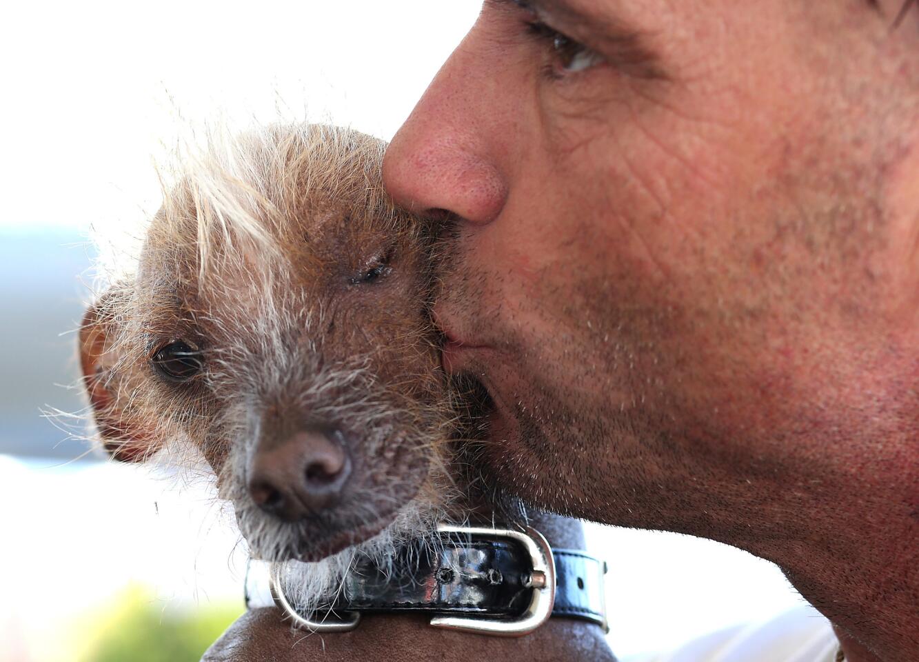 Jon Adler kisses his dog Icky, a Chinese Crested, before the start of the 25th annual World's Ugliest Dog contest at the Sonoma Marin Fair on June 21, 2013 in Petaluma, Calif.