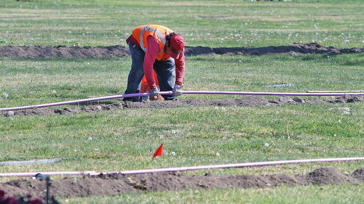 Photo Gallery: Valhalla Memorial Park gets retrofit with sprinklers that use reclaimed water