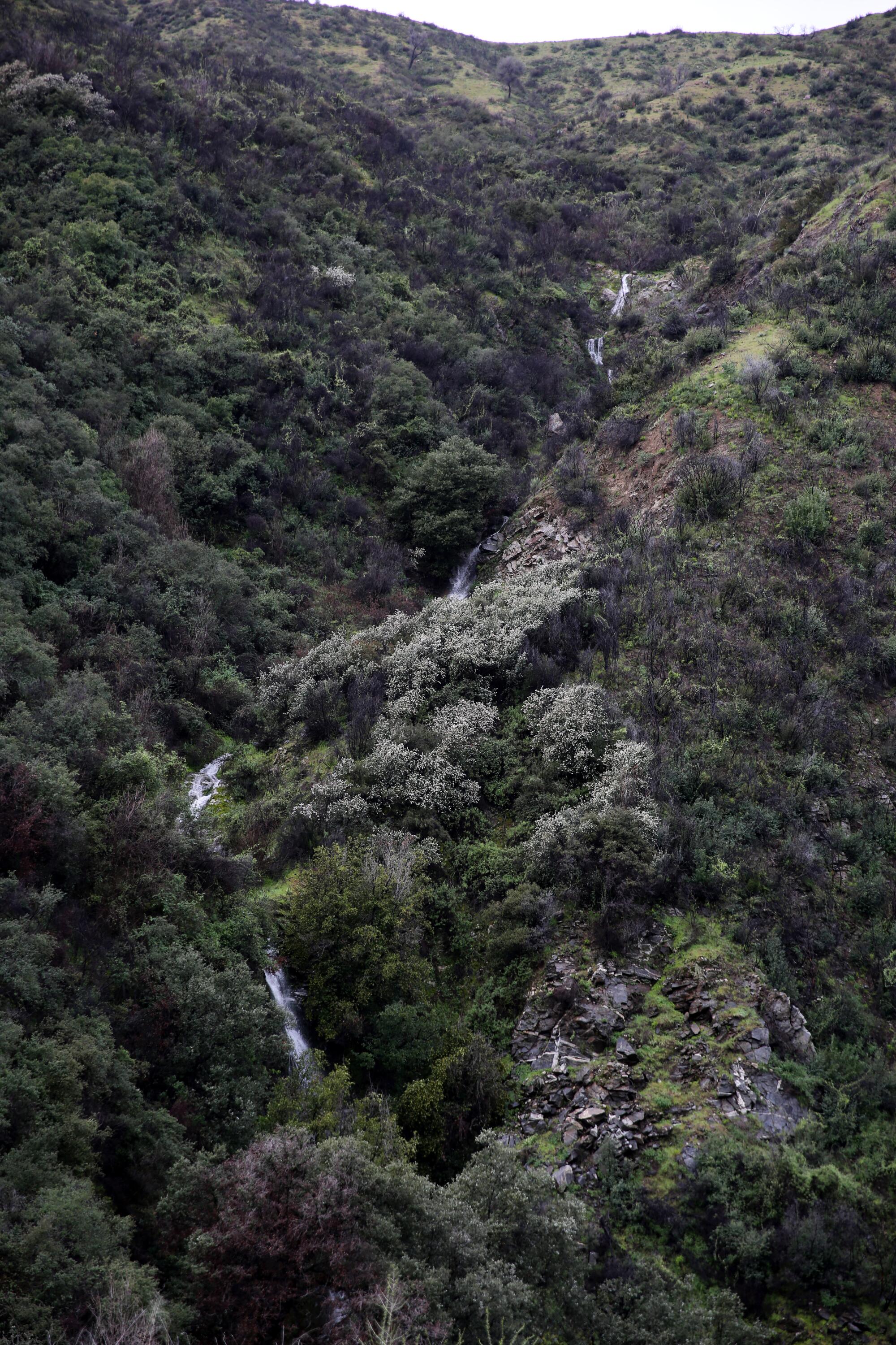 A long and meandering waterfall   cascades hundreds of feet down the mountain. 