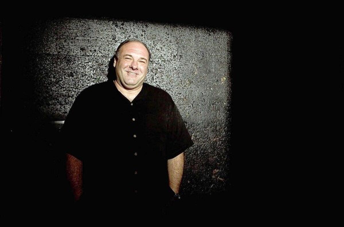 Actor James Gandolfini, shown in 2012, was a movie and Broadway actor who shot to stardom in "The Sopranos." He died while vacationing in Rome.