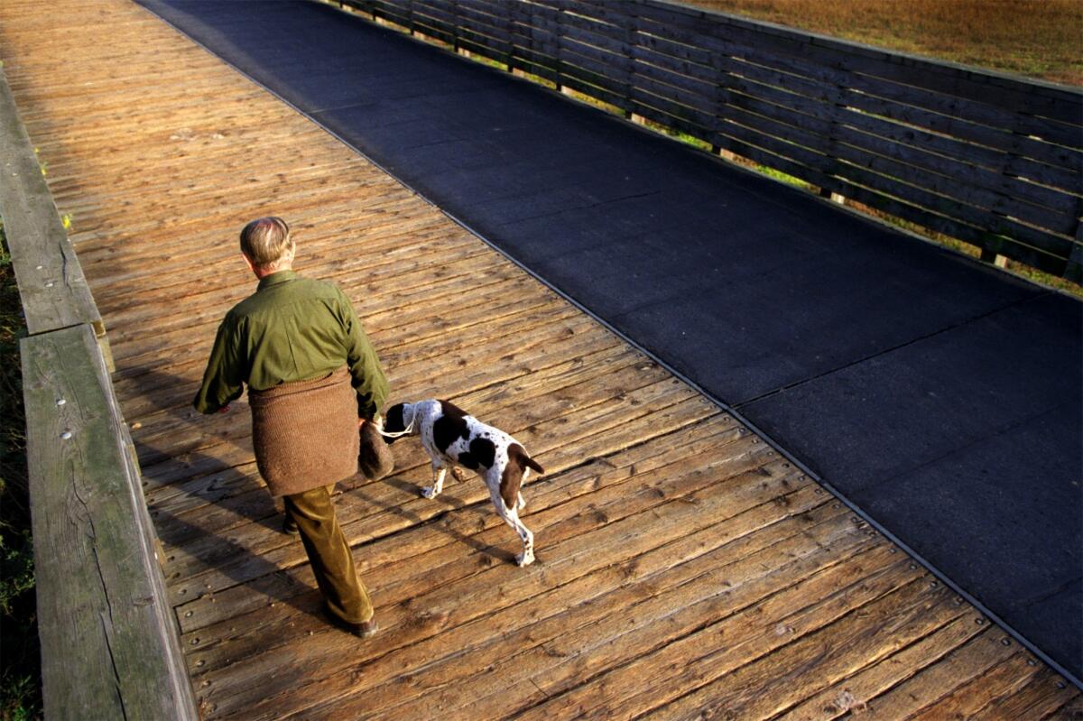 New research suggests that walking 6,000 steps per day can dramatically reduce the chance of developing debilitating knee problems associated with osteoarthritis.