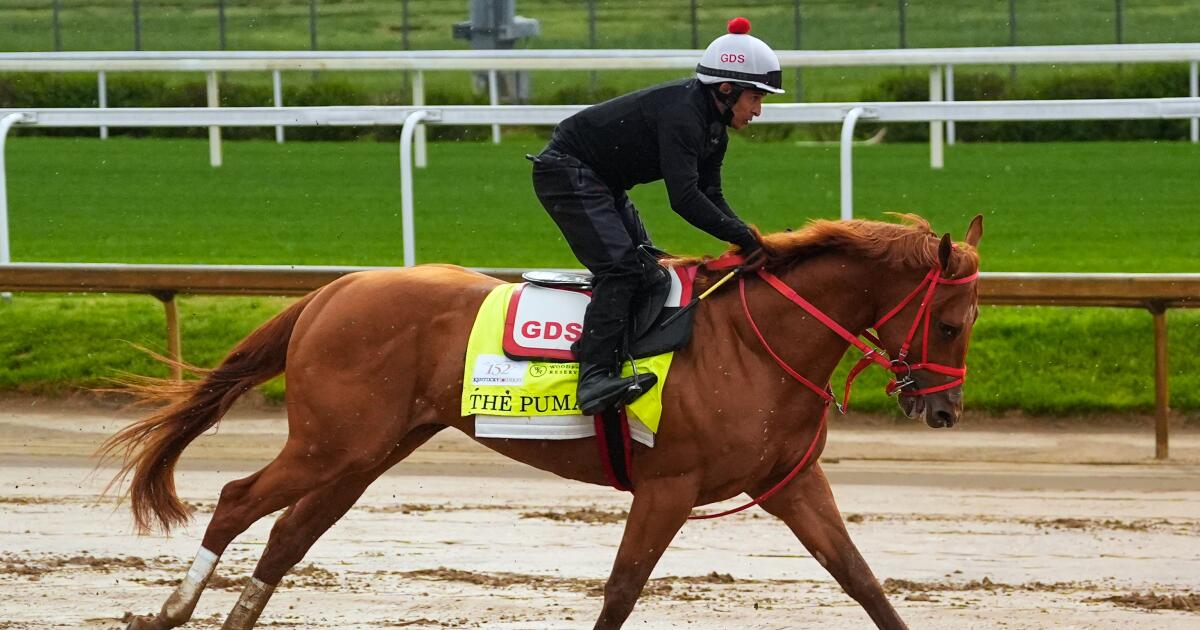 'Off the charts exciting.' L.A. native Brian Kahn thrilled he bred a Kentucky Derby horse