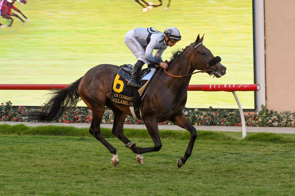 Irish-bred Bellabel made her U.S. record a perfect 2-for-2 by winning the Grade II, $203,500 San Clemente Stakes July 23.