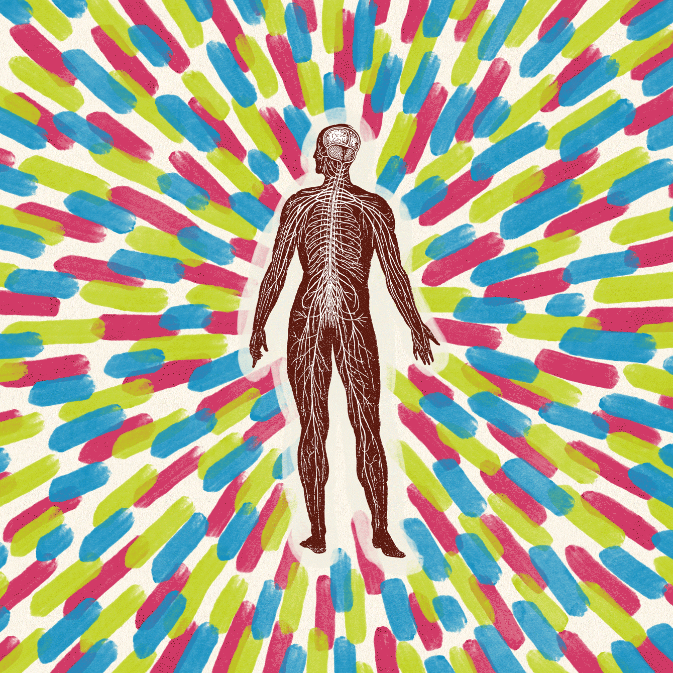 animated illustration of color dashes radiating from anatomy human figure showing nervous system