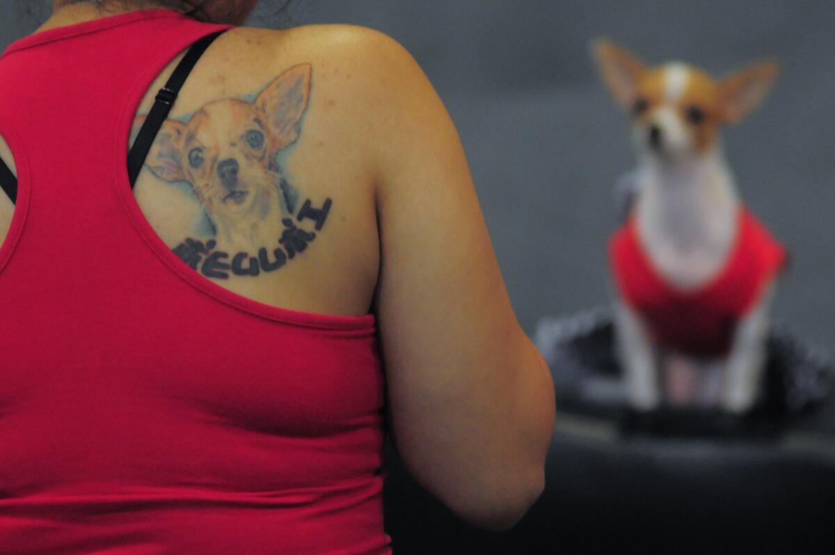 A portrait of a dog is seen tattooed at the back of a woman 