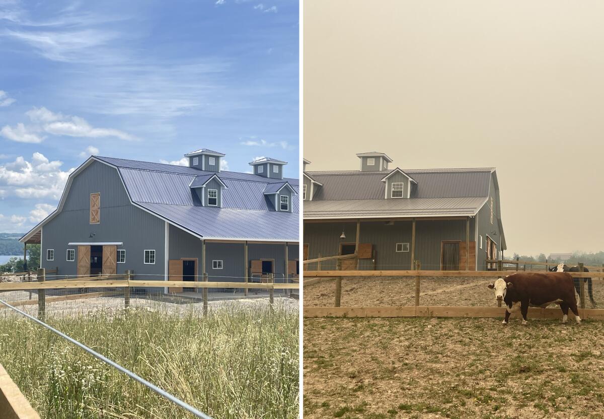 Side-by-side photos showing a farm before and after smoke from Canadian fires reach it.