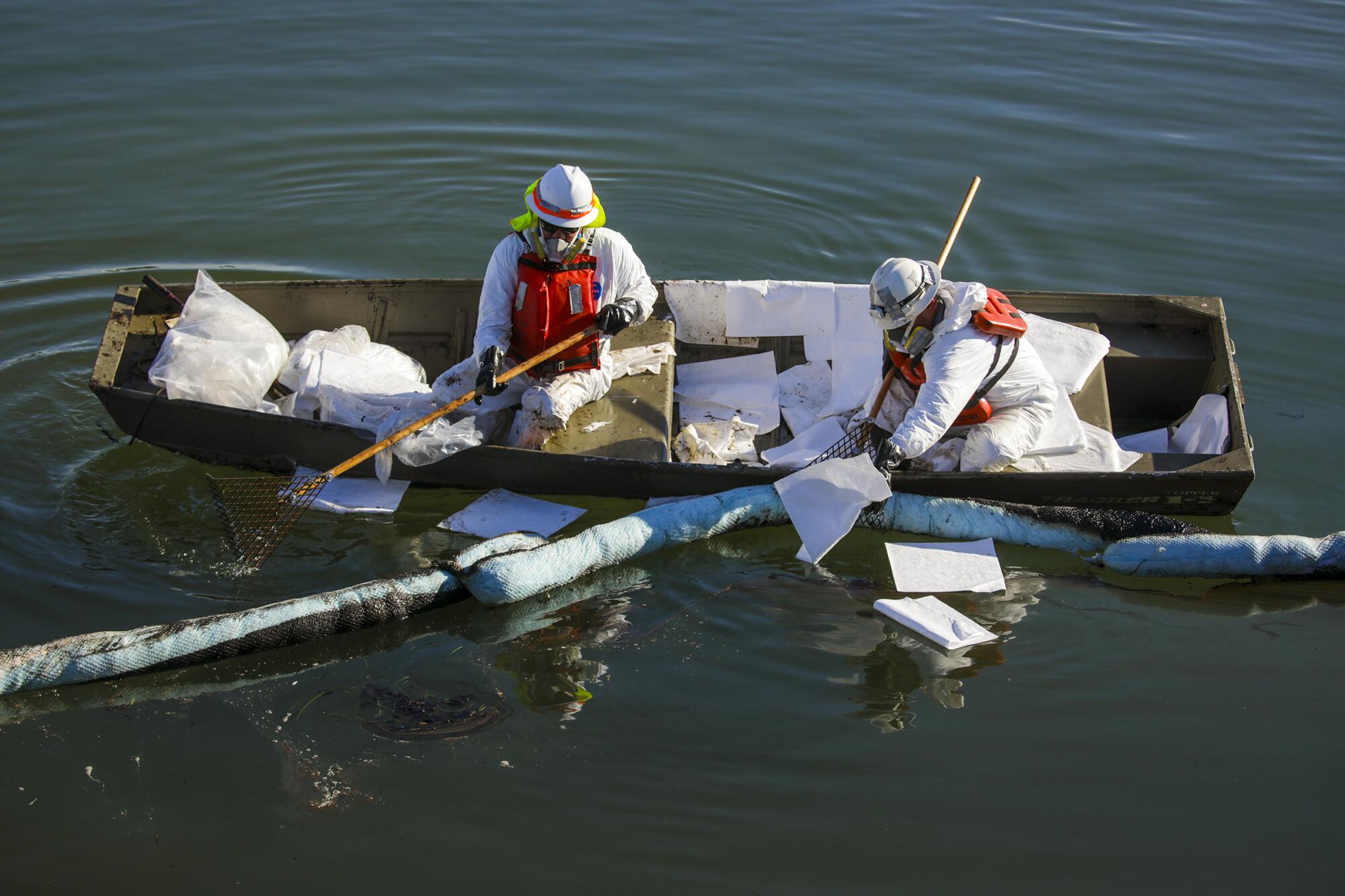 Workers in white hats and suits, holding handled scoopers, reach into the water from a boat 