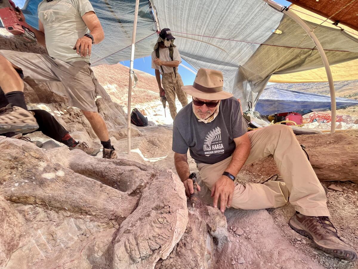 Paleontologist Luis Chiappe removes dust from a stegosaurus fossil near Bitter Creek, Utah. 