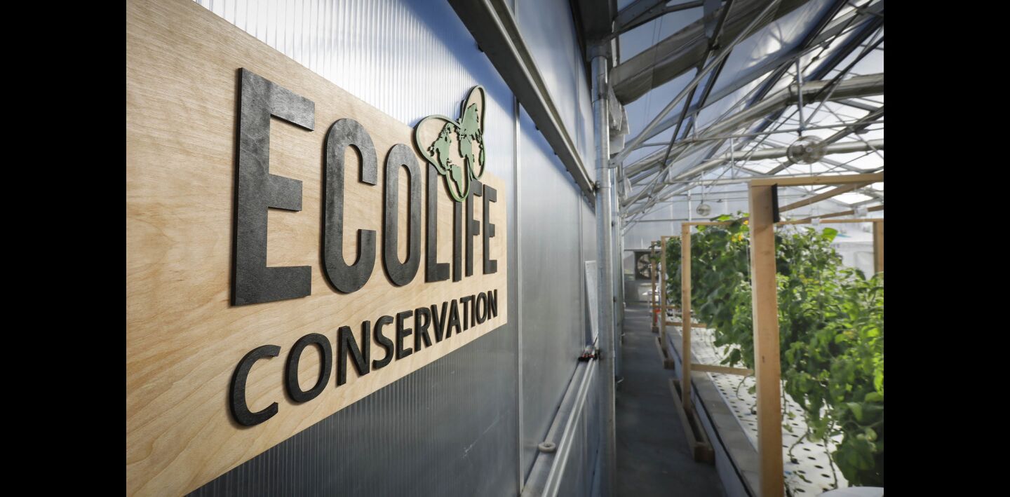 Ecolife Conservation's Aquaponics Innovation Center
