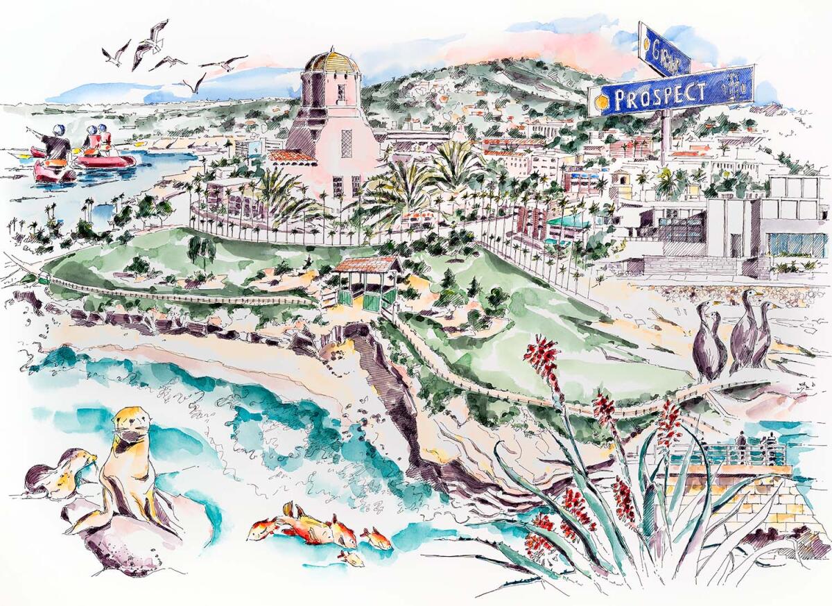 This image of La Jolla will be made into a fundraising puzzle.