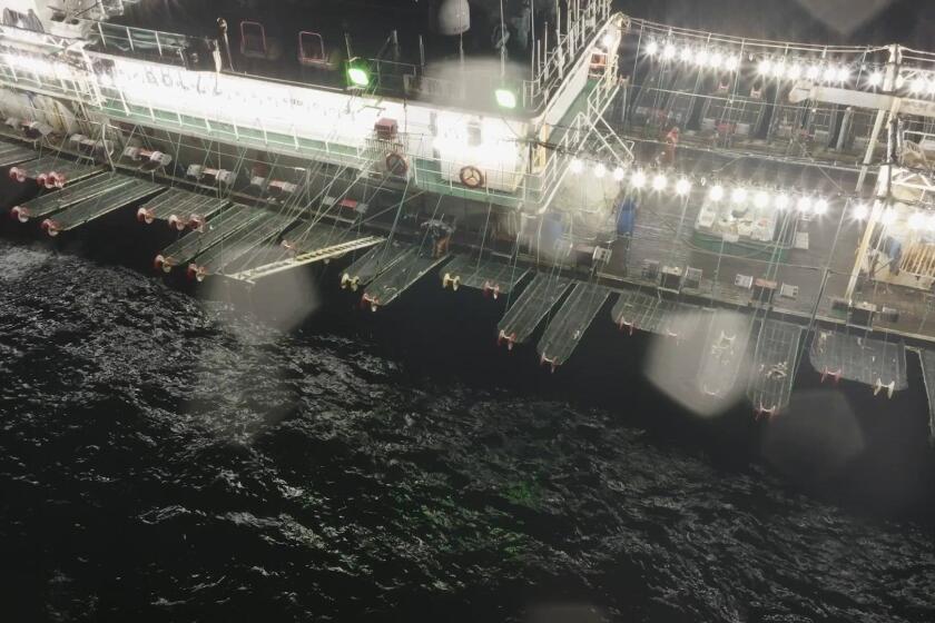 They catch squid for the world's table. But Chinese ships' deckhands are dying of neglect