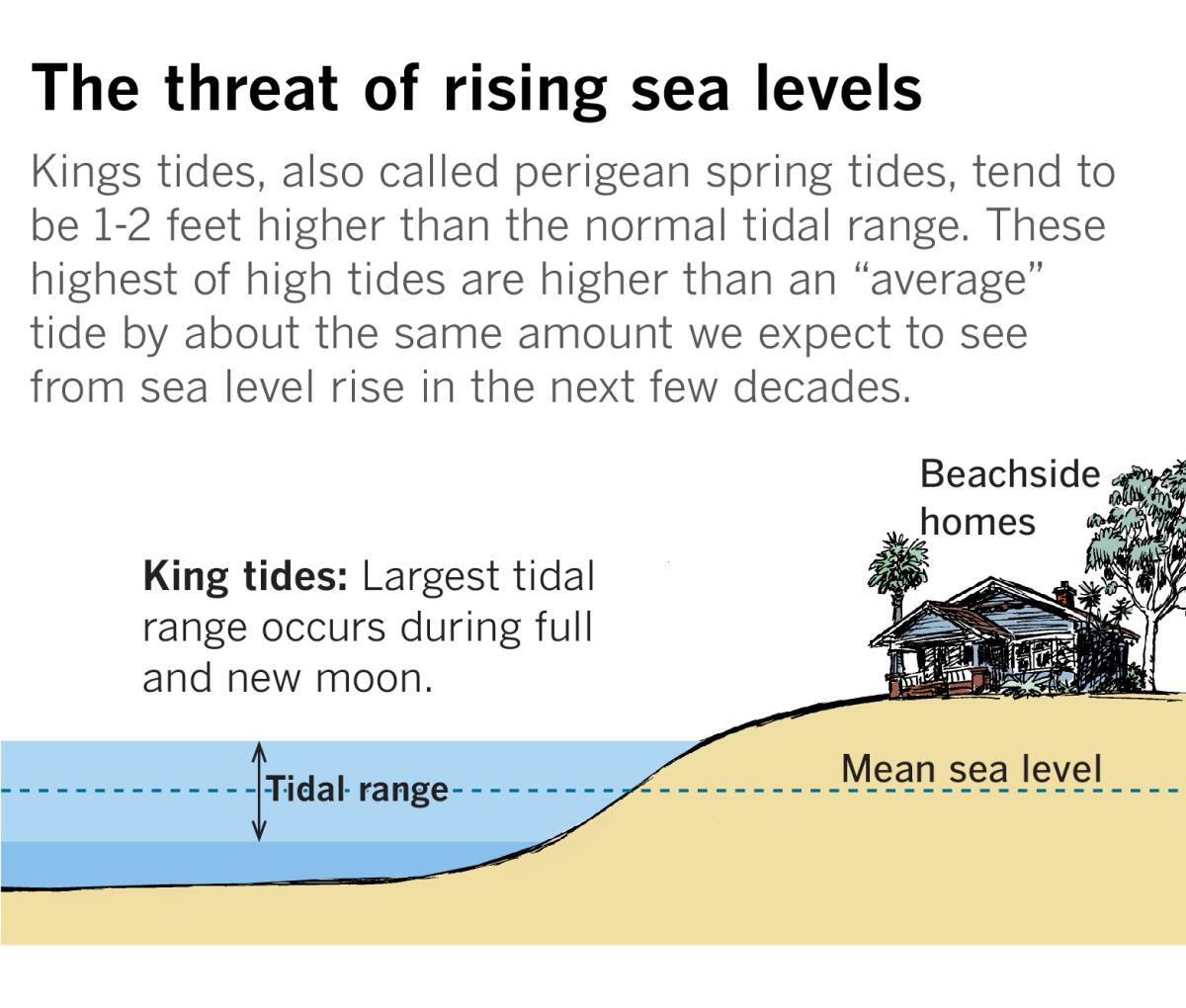 Diagram showing tidal range during king tides.
