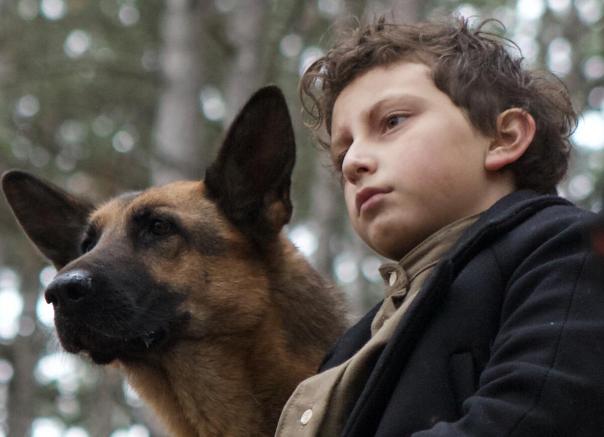 A German shepherd dog and a young boy sit side by side.