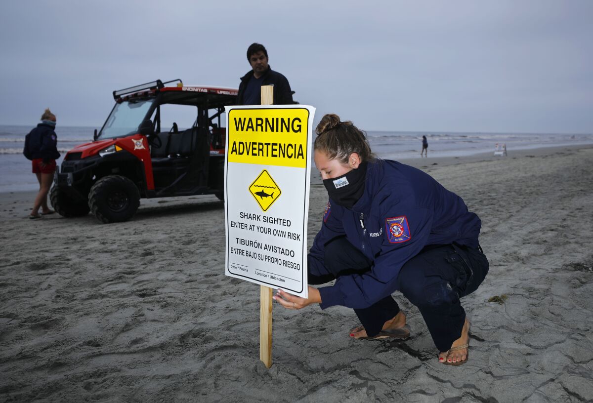 Encinitas lifeguards put up advisory signs south of Moonlight Beach after a man reported an encounter with a shark on April 29, 2020. The advisory will be up for 24 hours.