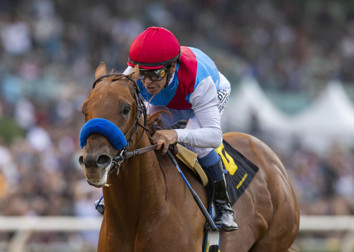 Taiba, with Mike Smith aboard, wins the Grade 1 $300,000 Runhappy Malibu Stakes race on opening day at Santa Anita Park.