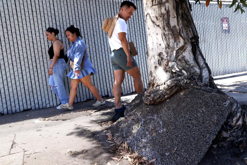 LOS ANGELES, CA - AUGUST 14, 2024 - John Yi, 38, center, former executive director of non-profit pedestrian advocacy group Los Angeles Walks, walks past a sidewalk that was damaged by a growing tree along S. Oxford Ave. in his Koreatown neighborhood in Los Angeles on August 14, 2024. Yi has advocated to improve city sidewalks and traffic safety for students and families walking to school, seniors, and transit riders. Yi is running for the California Assembly District 54. (Genaro Molina/Los Angeles Times)