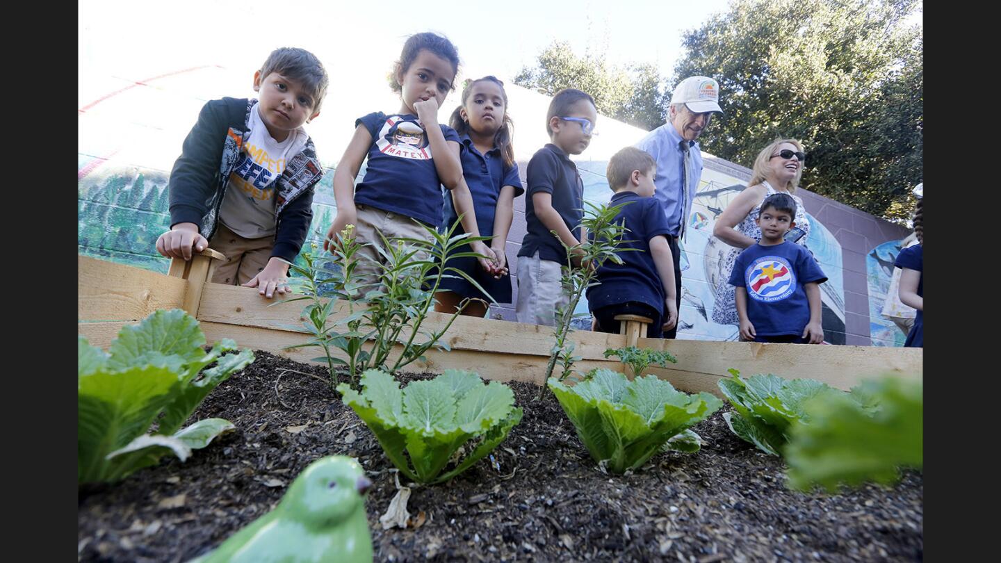 Young students look over the new vegetable gardens at the unveiling ceremony at Thomas Edison Elementary School, in Glendale on Tuesday, Oct. 24, 2017. The gardens were made possible with the assistance of the Glendale Kiwanis Club.