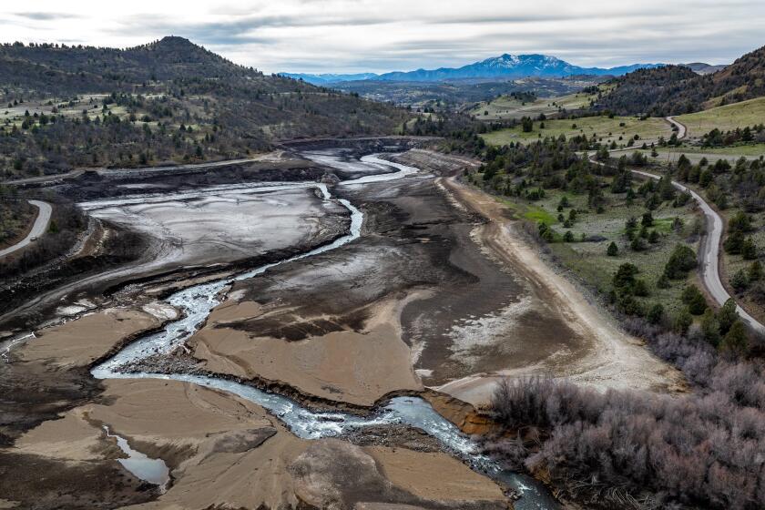 Hornbrook, CA - February 27: Clear water flows out of Jenny Creek into a muddy Klamath River. River restoration work is underway with crews planting millions of native seeds to help restore vegetation along the reemerging riverbanks on Tuesday, Feb. 27, 2024 in Hornbrook, CA. (Brian van der Brug / Los Angeles Times)
