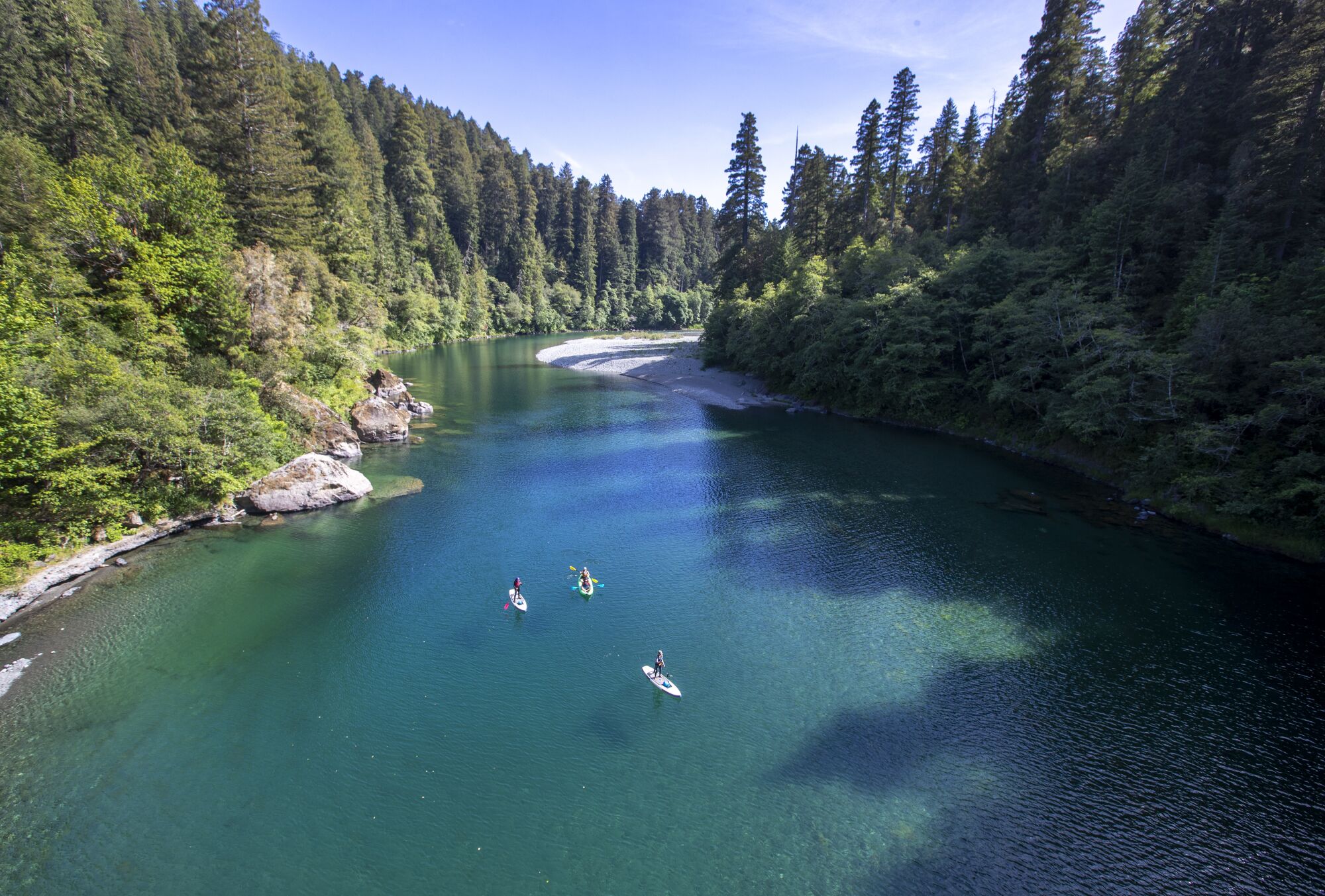 Three people on paddleboards travel down the Smith River flanked by trees