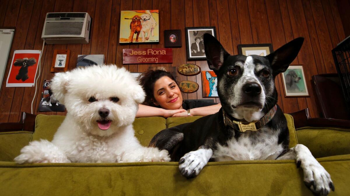 Dog grooming artist Jess Rona with Meemu, left, and Chupie, at her grooming studio in Los Angeles. (Mel Melcon / Los Angeles Times)