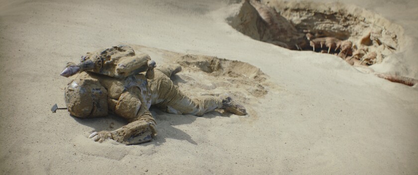 a man crawling in the desert sand