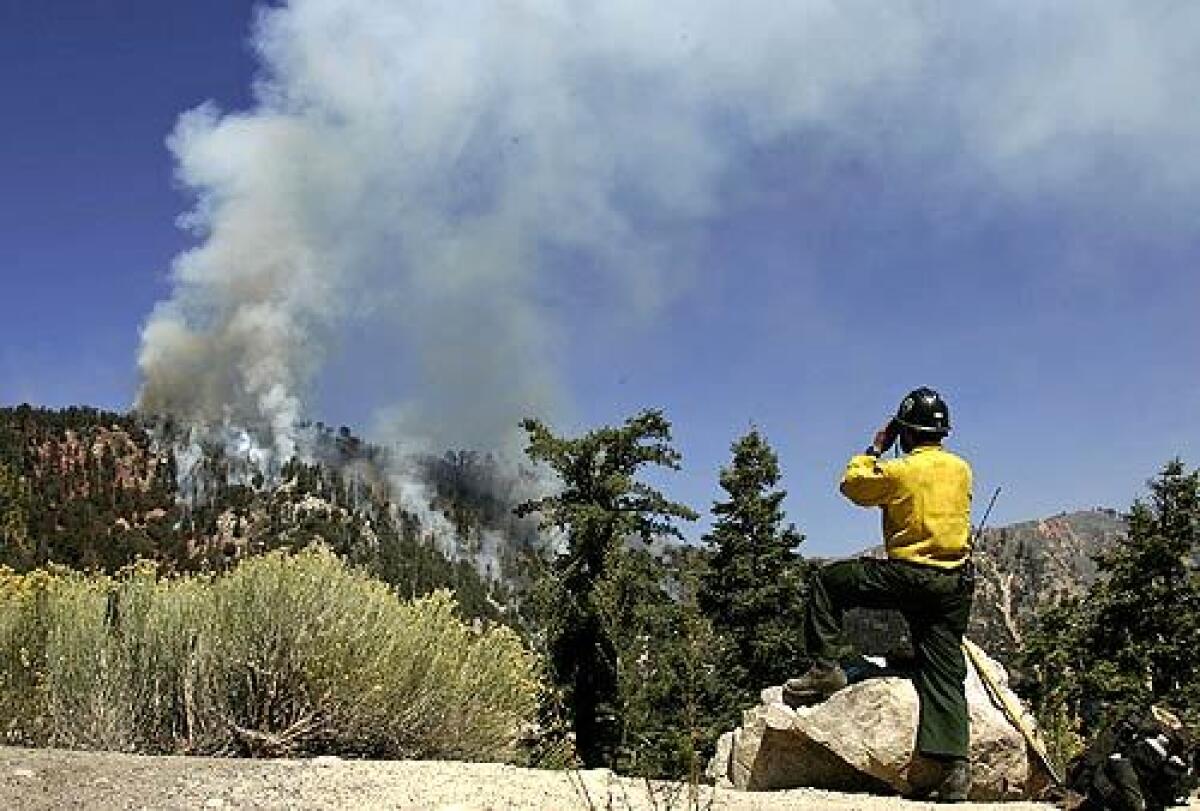 BATTLING FIRE: Ian Webb of Ruby Mount Hot Shots keeps an eye on his crew cutting a fire line on the ridges along Highway 18 in the San Bernadino Mountains.