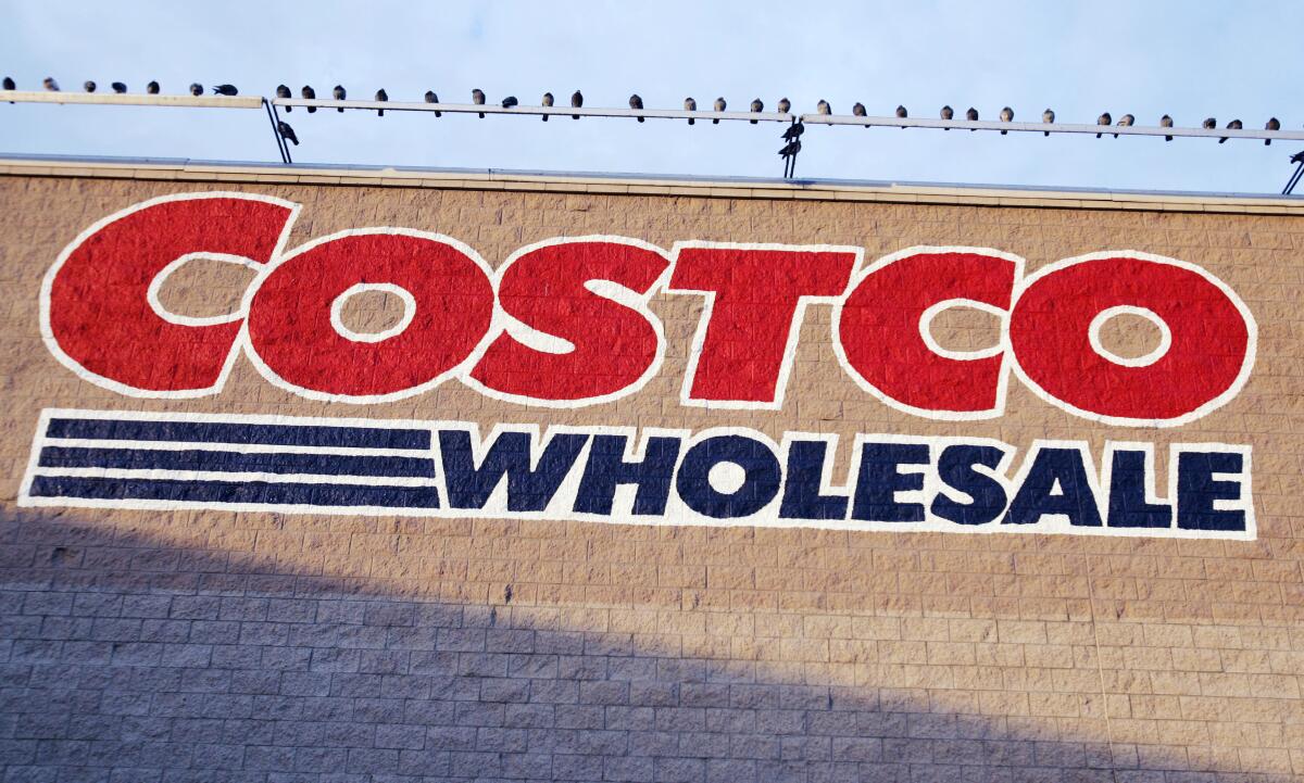 Birds are perched above a Costco store.