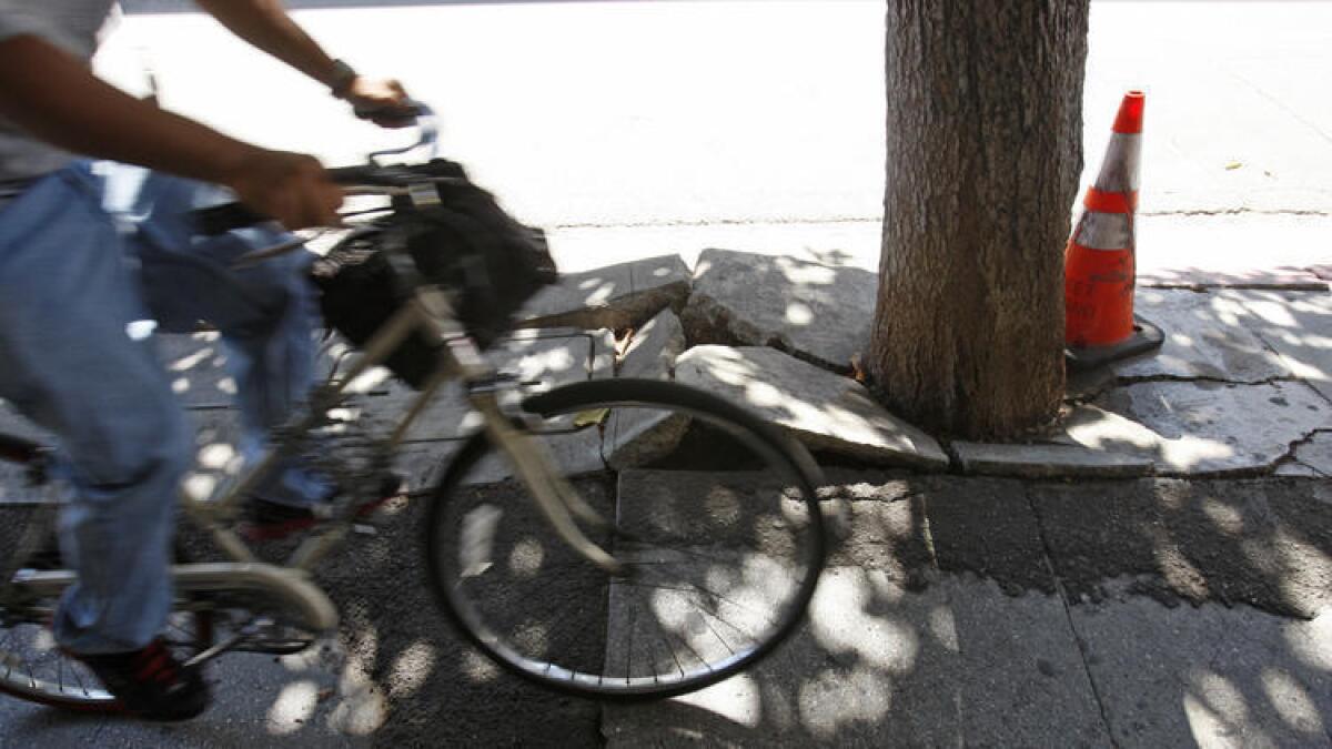 A cyclist rides past a buckled sidewalk at 4th and Main streets in downtown Los Angeles.