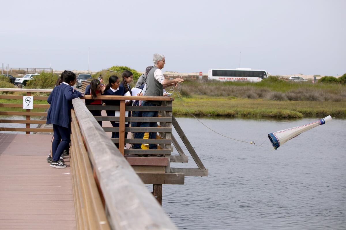 Amigos de Bolsa Chica naturalist Kim DiPasquale throws out a net to collect samples at the Bolsa Chica Ecological Reserve during a field trip for students in Huntington Beach in May.