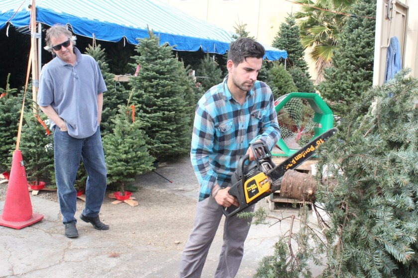 La Jolla resident Chris Dailey watches as Mr. Jingle’s employee Austin Dowd trims the trunk and lower branches of the 8-foot Noble fir Dailey bought Dec. 4 at the La Jolla Mr. Jingle’s Christmas Trees location.