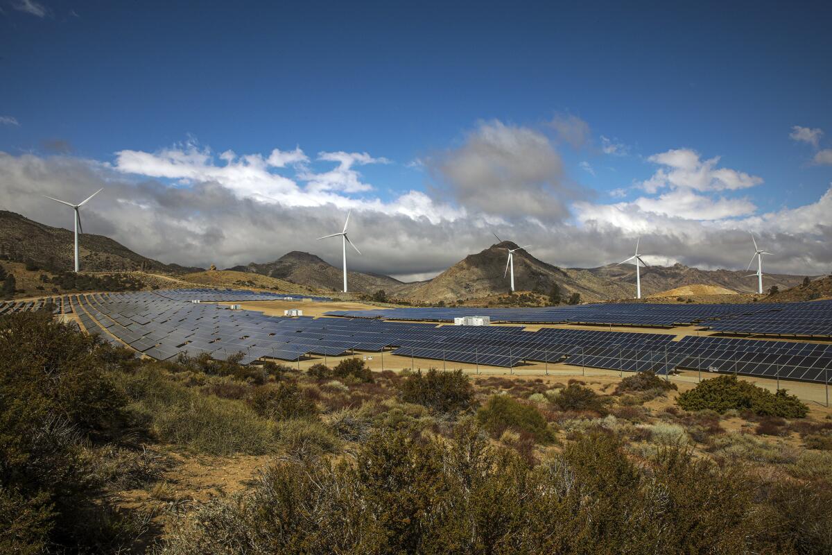 Solar panels and wind turbines at the Los Angeles Department of Water and Power’s Pine Tree clean energy project.