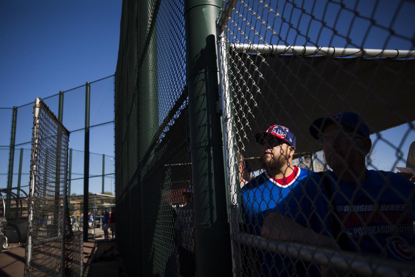 Cesar Arrecis, 30, watches Cubs players practice during spring training, Feb. 25, 2016.