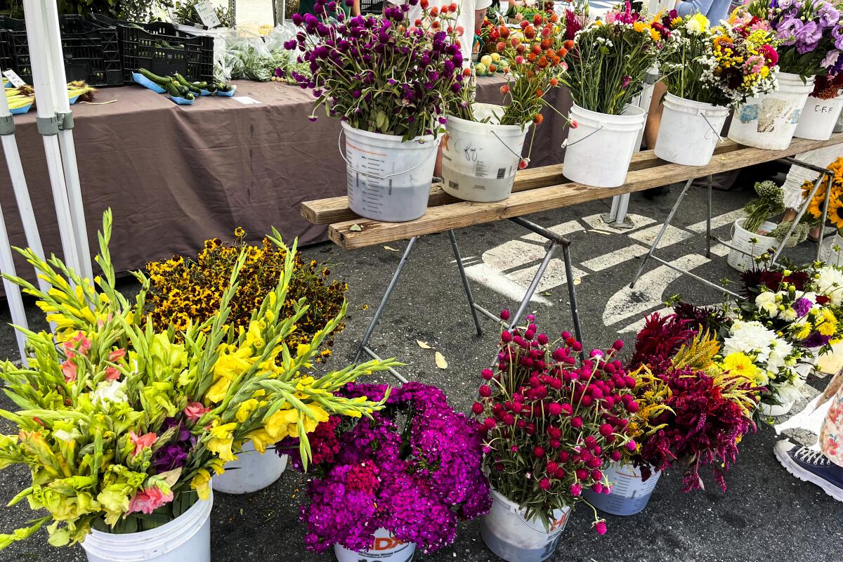 The South Pasadena Farmer's Market for the amazing places in L.A. that you can get to using public transit POI.