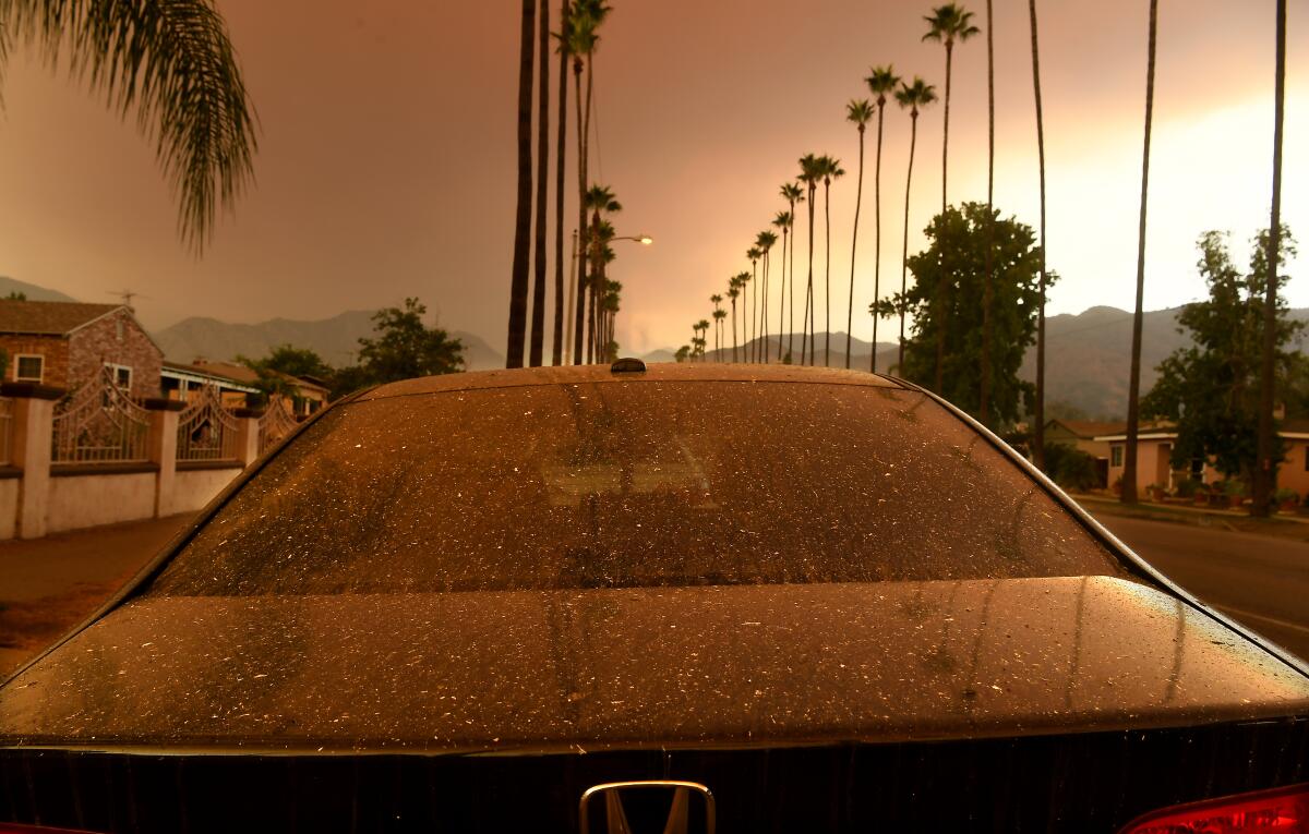 Beneath a brown sky, on a street lined with palm trees, a car is covered with gray flakes. 