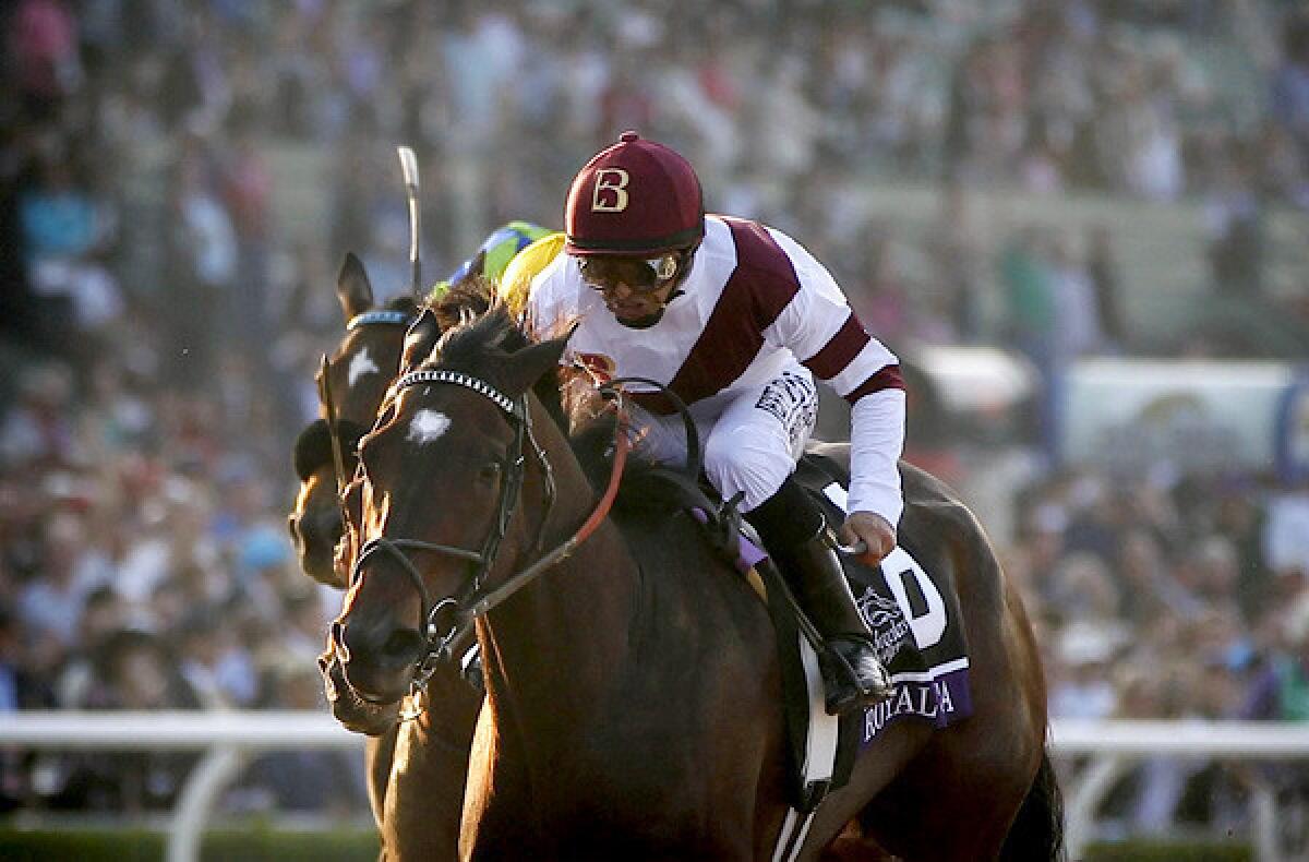Royal Delta, with Mike Smith aboard, holds off the field to win the Breeders' Cup Ladies Classic on Friday at Santa Anita Park.