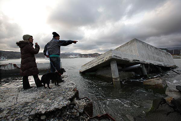Nobuo Watanabe, right, and his wife, Seiko, with their dog look at a breakwater badly damaged by the last year's earthquake and tsunami in Minamisanriku, Japan, on Sunday. People across Japan prayed and stood in silence on Sunday to remember the massive disaster that struck the nation one year ago, killing more than 19,000 people and unleashing the world's worst nuclear crisis in a quarter century.