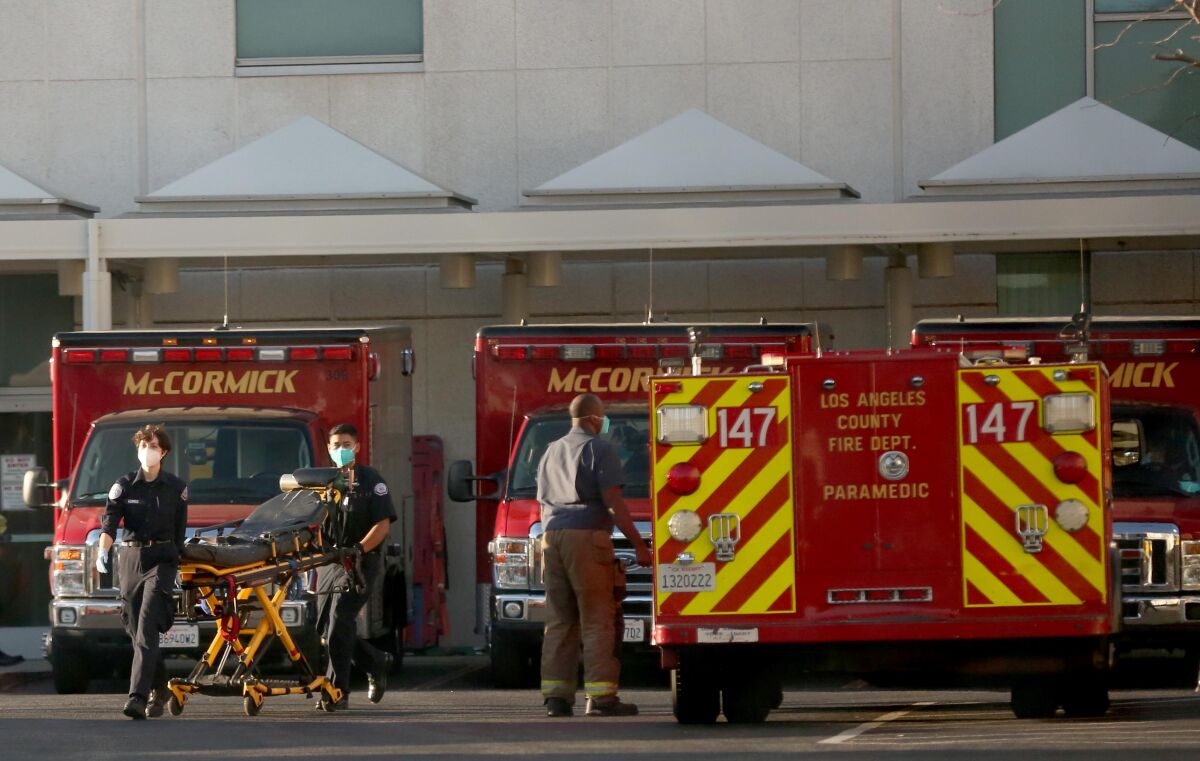 Paramedics bring their stretcher back to their vehicle, walking near ambulances.