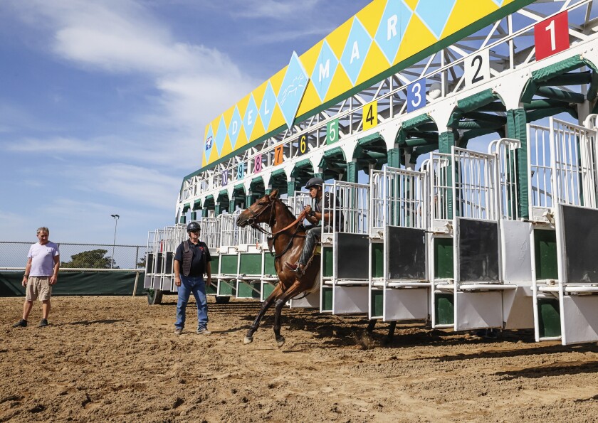 An exercise rider works with a horse in the starting gate during a morning workout session at Del Mar Racetrack.