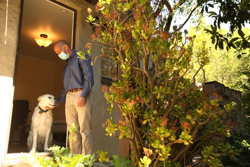 GLENDALE, CA - APRIL 24, 2020 - - Dr. Steven Siegel, 55, a psychiatrist and Chair of the Department of Psychiatry and Behavioral Studies with the Keck School of Medicine at USC, stands with his dog Philly outside his office where he works at his home in Glendale on April 24, 2020. Dr. Siegel recommends that people maintain a routine to help them deal with mental stress during the stay at home order during the coronavirus pandemic. His routine involves waking at 5 each morning, feeding his dogs, having breakfast, dressing and working in his spare bedroom which he has converted into an office. (Genaro Molina / Los Angeles Times)