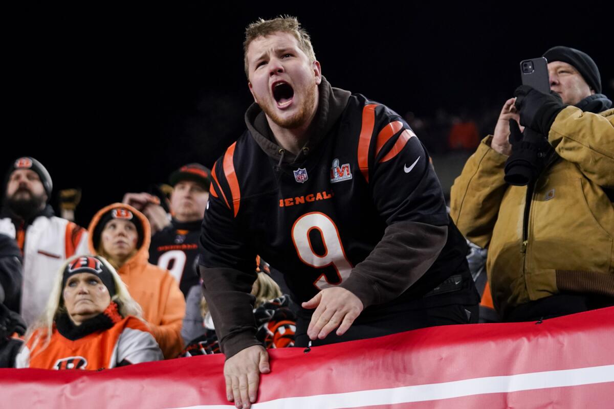A Cincinnati Bengals fan cheers during a wild-card playoff game against the Baltimore Ravens.