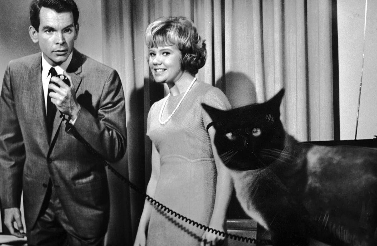 A black-and-white photo of a man in a suit, left, a woman smiling in a dress and a cat.
