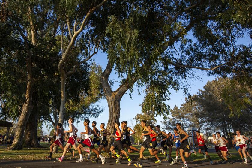 The pack runs together during the Golden West League cross-country finals at Central Park in Huntington Beach on Wednesday, November 6.