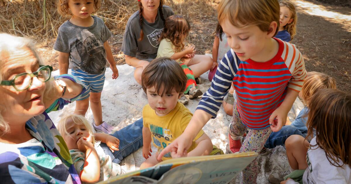 Children are glued to screens. Are ‘forest schools’ the antidote?