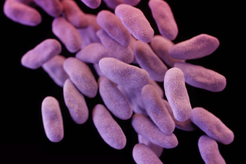 A new analysis from the U.S. Centers for Disease Control and Prevention estimates that better nationwide infection control and antibiotic stewardship could prevent 619,000 healthcare-associated infections with antibiotic resistant superbugs such as Carbapenem-resistant Enterobacteriaceae (CRE), pictured here.