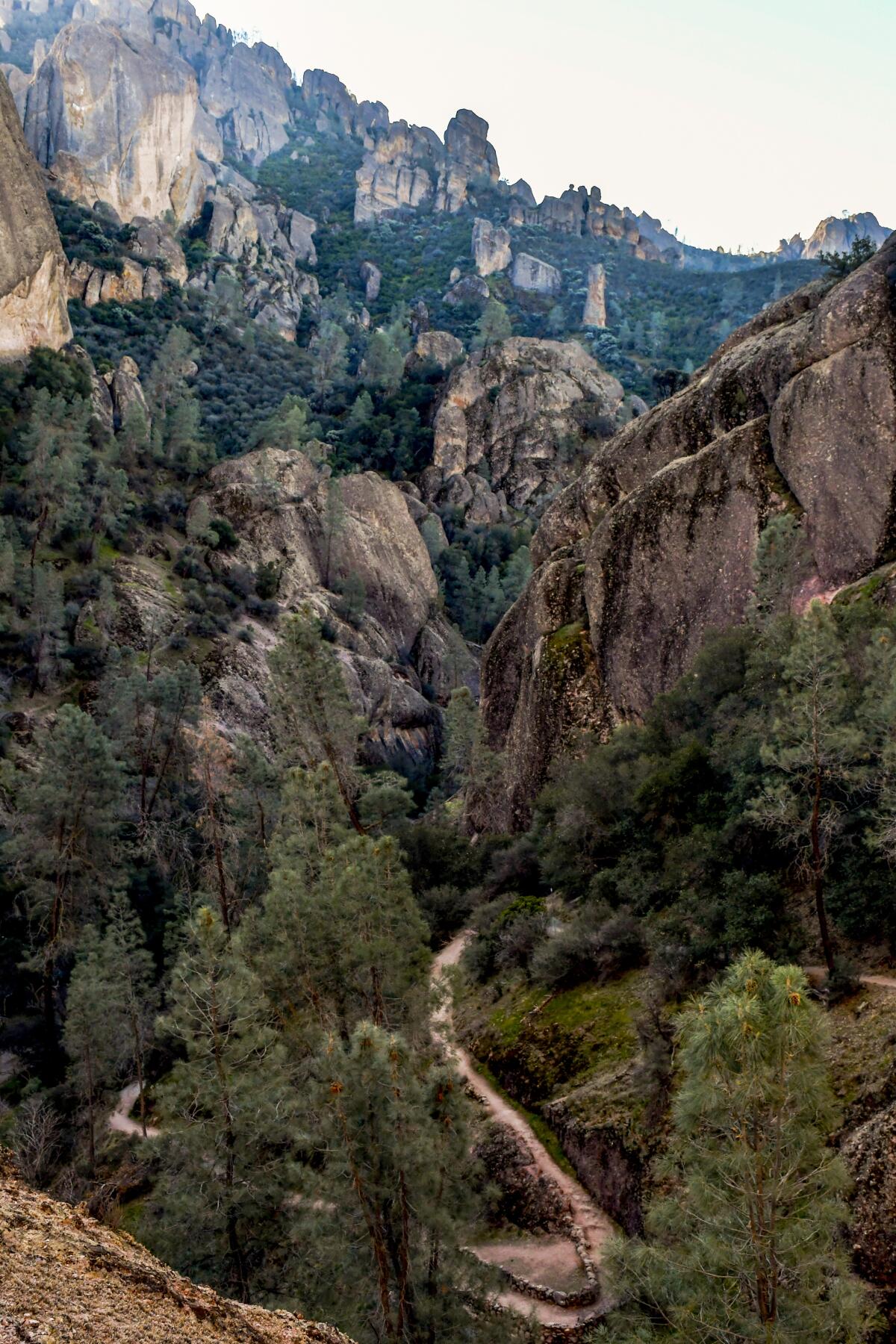 An elevated view of the Pinnacles National Park landscape