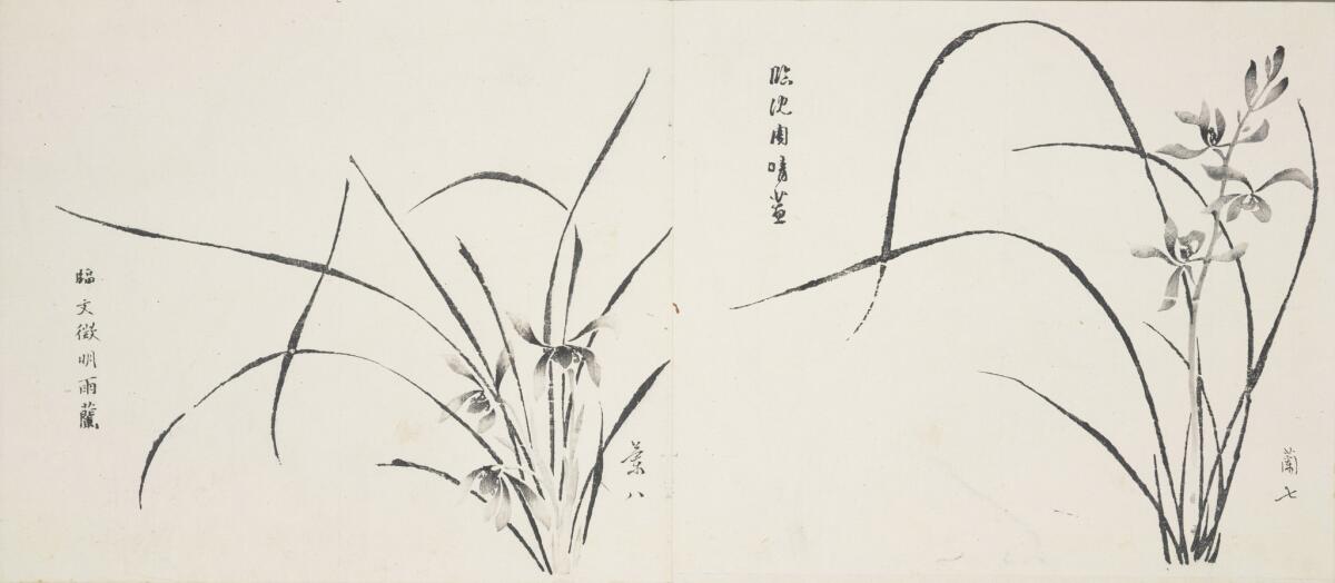 Lotus leaf, lotus root and two jitou capsules, with calligraphy by Sun Yuwang, Fruit 10, "Ten Bamboo Studio Manual of Calligraphy and Painting." Compiled and edited by Hu Zhengyan. Woodblock-printed book, ink and colors on paper, each page 9 7/8 by 11 1/4 in., each inches. (Huntington Library, Art Collections and Botanical Gardens)