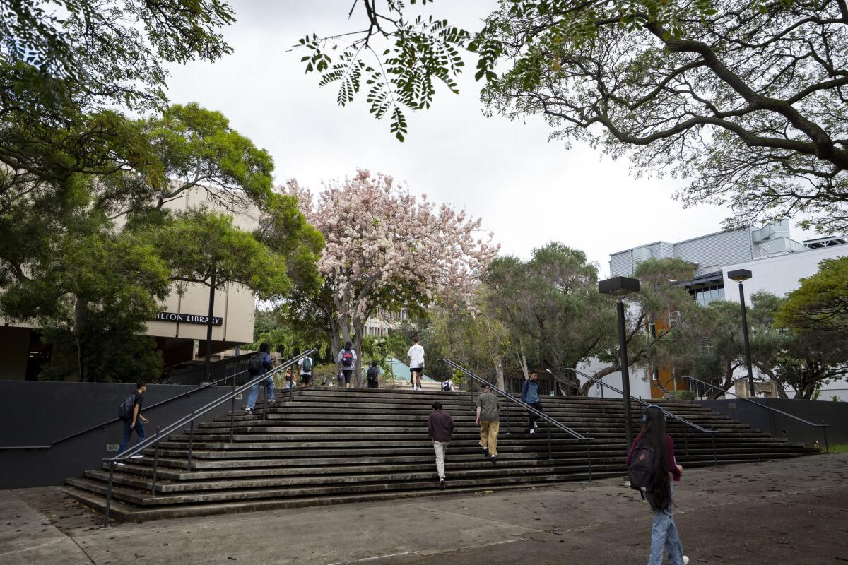 Philanthropies are piloting 0% pay-it-forward student loans 3 Students walk through the University of Hawaii at Manoa campus.