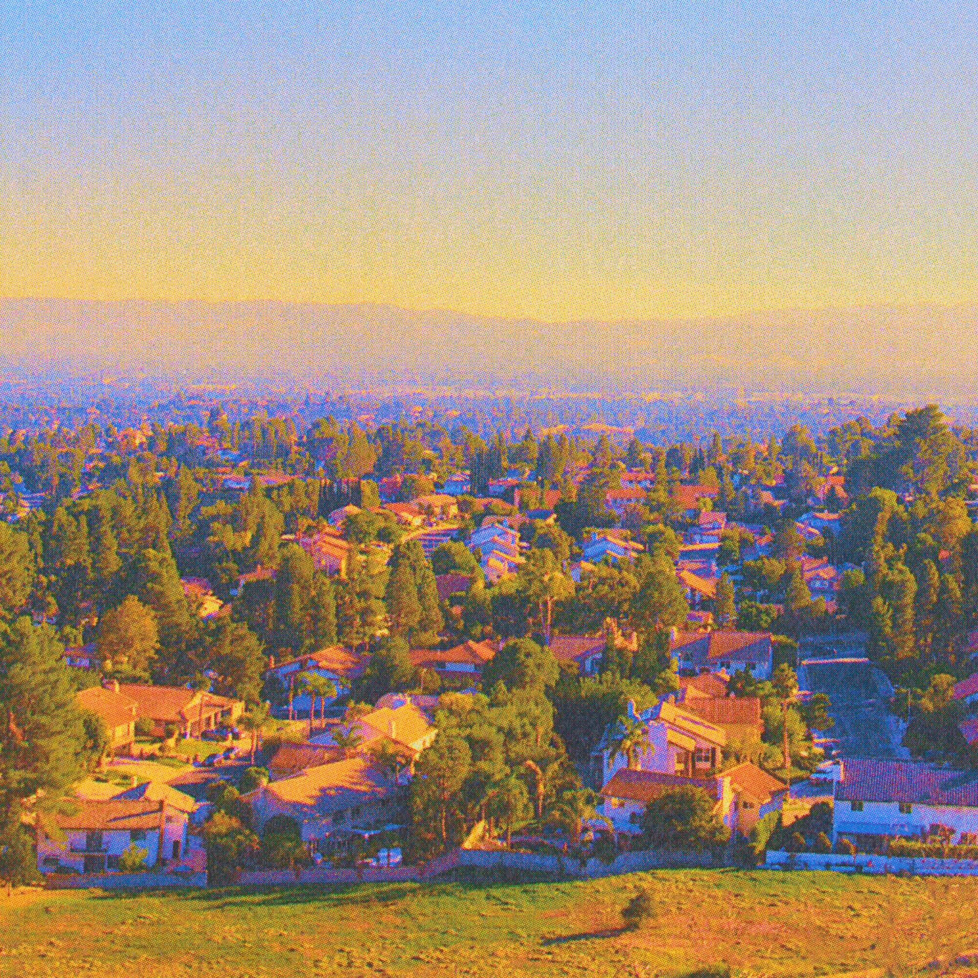 A photo of the suburban landscape, trees and houses replicating into the distance.