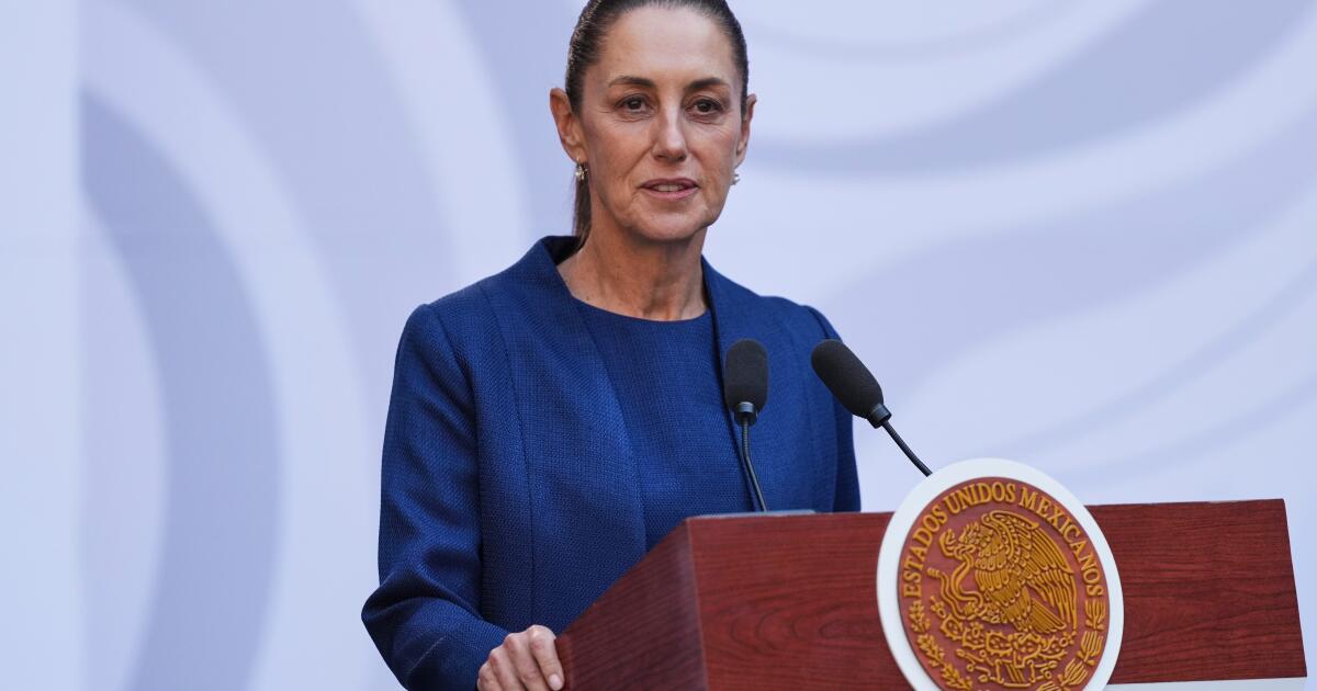 Presidente do México diz a Trump que intervenção dos EUA contra cartéis é “desnecessária” Presidente do México diz a Trump que intervenção dos EUA contra cartéis é “desnecessária”